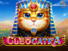 Cats casino71